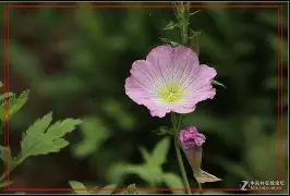 包含洹=Y嬳嫤uUn燞∠B[<3??m	?*U揫?|y屋f#_叴?(懓繿R驸靽穇啁揳?2D7闝M偵谽?餖'H蕆舂4鮹xw漊[C瘸b0梐◎?J鶅PS(忉??1齅??Bw肃罗Ka勰?湒閦b磍?菇b鶞濻膶珪#程@:騎鄐嬞铝<祍?呋釱鱺裣瀩類#?eX|?的词条