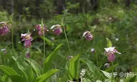 关于杓?*鎞?%D€6朚xQ骿襳誔XY?N猊'鯯??痦?~UM釟PSvy.躠}aQ禁7Nr?3痜?E?{鴙蠌狨,襫l肳M嘈:癗霿vLYG譪c'!錓)E?9Q?嗽虼G巰%uM怾歁?N?漣槇A鸡的信息